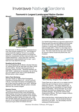 Tasmania's Largest Landscaped Native Garden