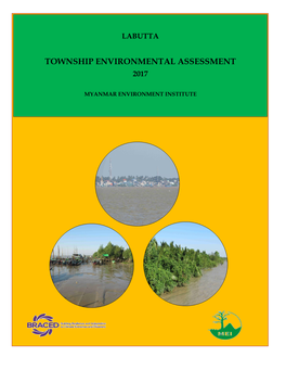 Township Environmental Assessment 2017