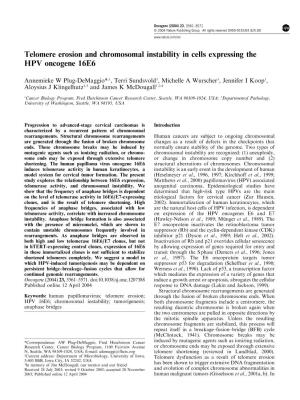 Telomere Erosion and Chromosomal Instability in Cells Expressing the HPV Oncogene 16E6