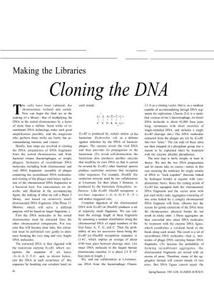Cloning the DNA