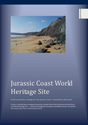 Jurassic Coast Fossil Acquisition Strategy Consultation Report