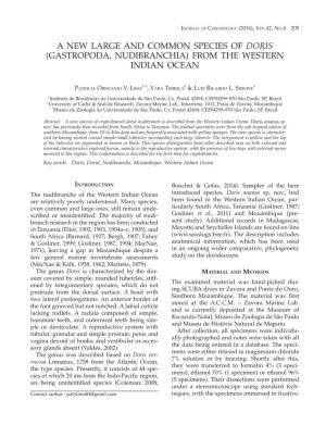 A New Large and Common Species of Doris (Gastropoda, Nudibranchia) from the Western Indian Ocean