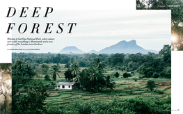 Gal Oya National Park, Where Nature Runs Wild, Everything Is Illuminated, and a New Frontier of Sri Lankan Travel Beckons
