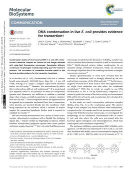 DNA Condensation in Live E. Coli Provides Evidence for Transertion† Cite This: Mol