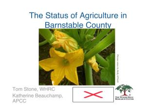 The Status of Agriculture in Barnstable County P I C T U R E
