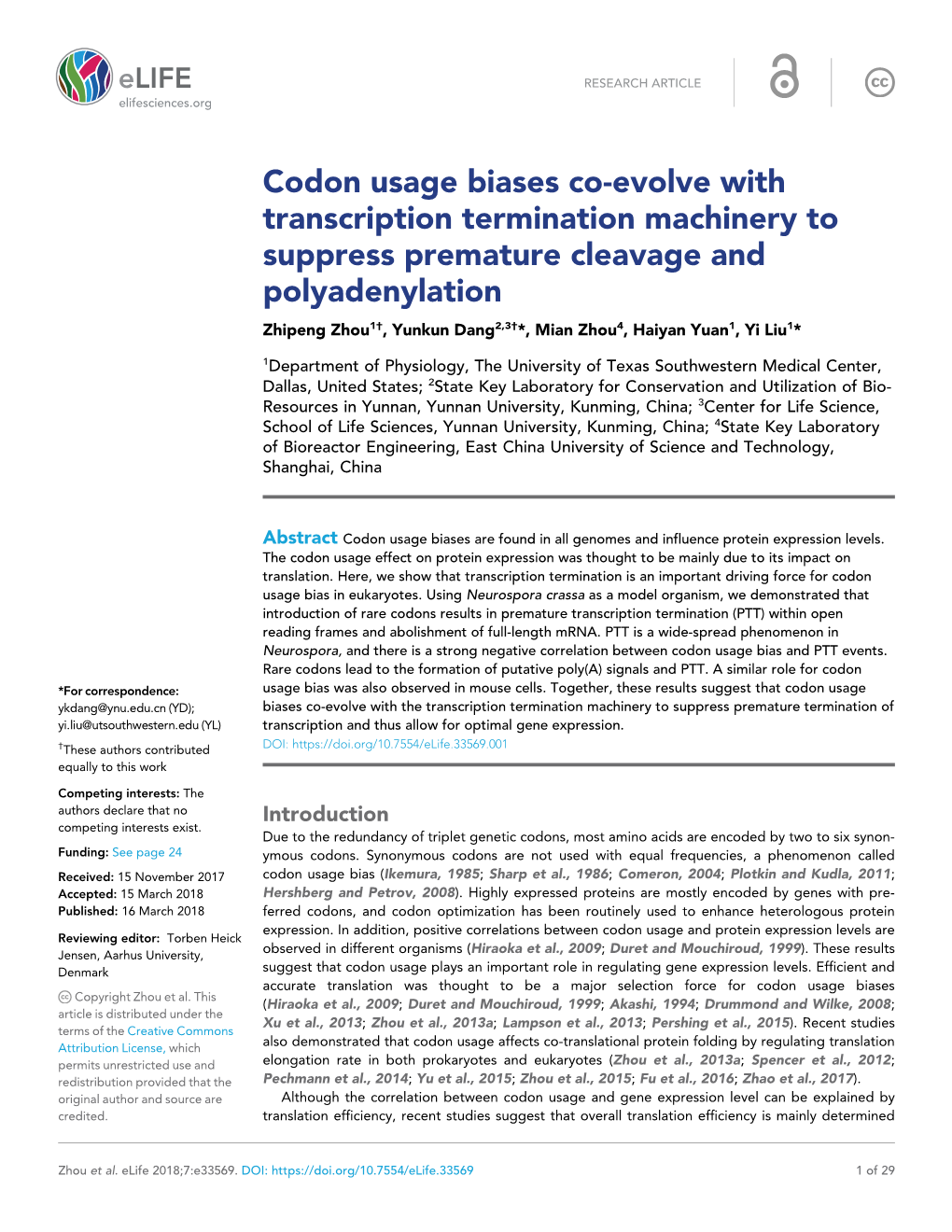 Codon Usage Biases Co-Evolve with Transcription Termination Machinery