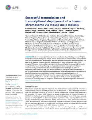 Successful Transmission and Transcriptional Deployment of A