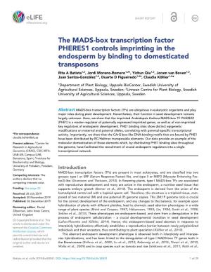 The MADS-Box Transcription Factor PHERES1 Controls