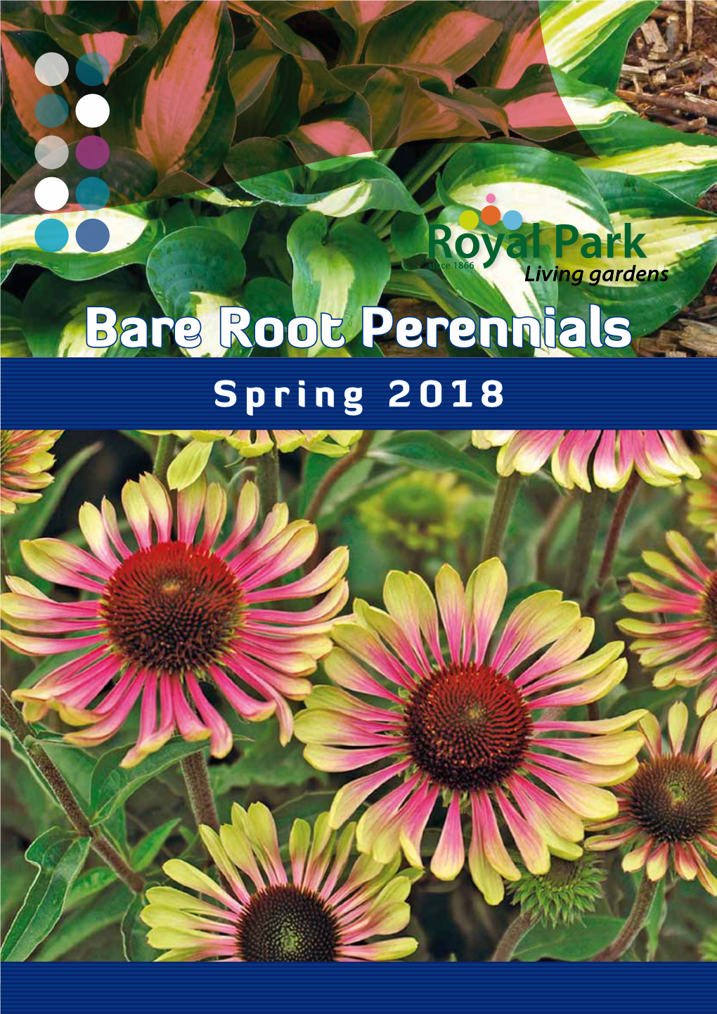 Bare Root Perennials Spring 2018