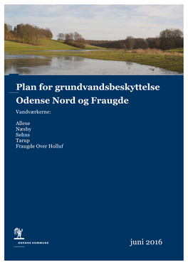 Plan for Grundvandsbeskyttelse Odense Nord Og Fraugde Vandværkerne
