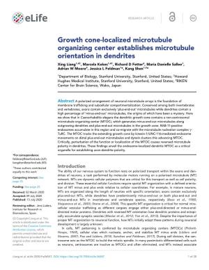 Growth Cone-Localized Microtubule Organizing Center Establishes