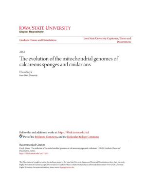 The Evolution of the Mitochondrial Genomes of Calcareous Sponges and Cnidarians Ehsan Kayal Iowa State University
