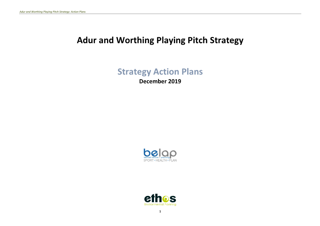 Playing Pitch Strategy: Action Plans