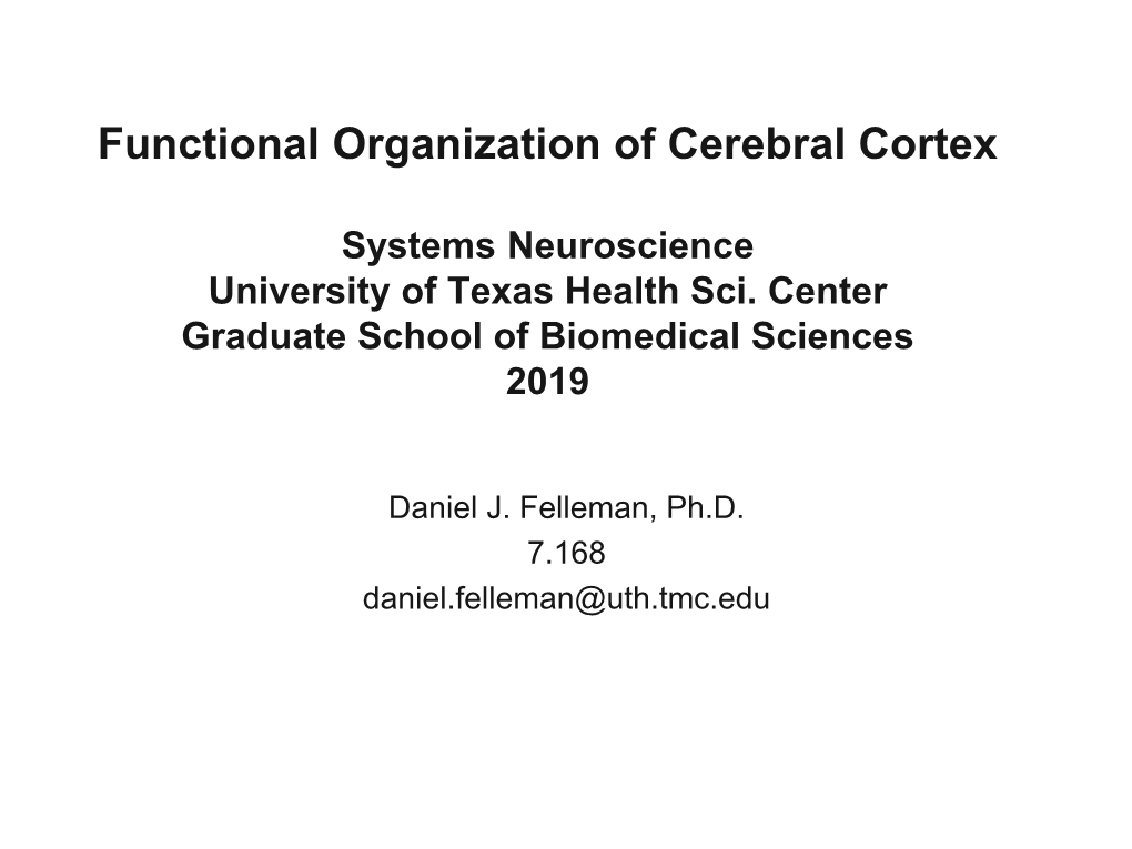 Functional Organization of Cerebral Cortex