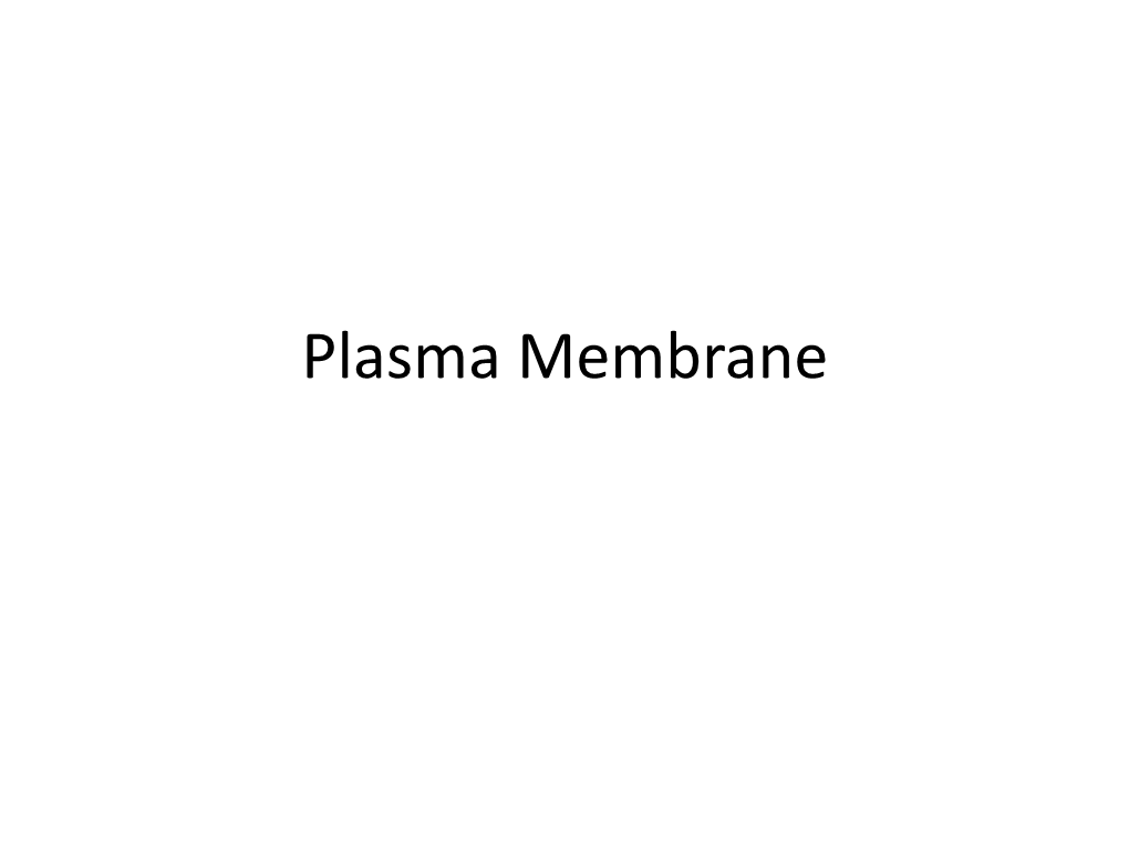 Plasma Membrane Sandwich Model Unit Membrane