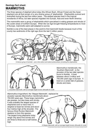 Mammoths Fact Sheet