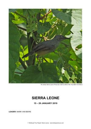 Sierra Leone Prinia Was Voted As Bird of the Trip (Mark Van Beirs)