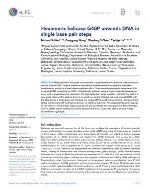 Hexameric Helicase G40P Unwinds DNA in Single Base Pair Steps Michael Schlierf1,2*, Ganggang Wang3, Xiaojiang S Chen3, Taekjip Ha1,4,5,6,7*