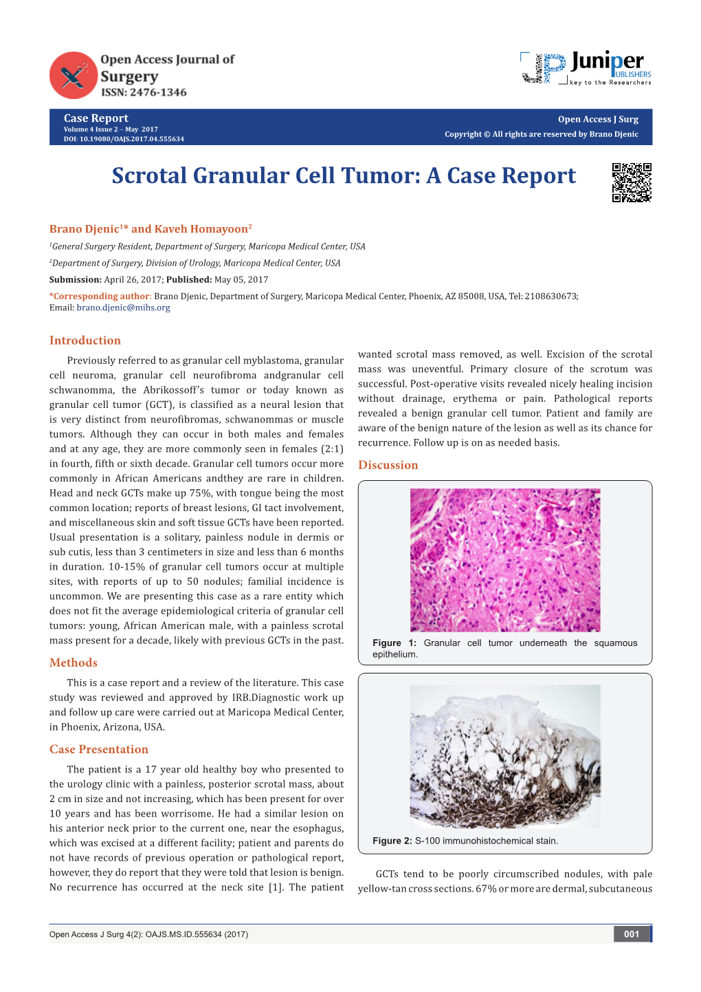 Scrotal Granular Cell Tumor A Case Report Docslib