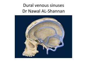 Dural Venous Sinuses Dr Nawal AL-Shannan Dural Venous Sinuses ( DVS )