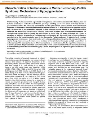 Characterization of Melanosomes in Murine Hermansky–Pudlak Syndrome: Mechanisms of Hypopigmentation