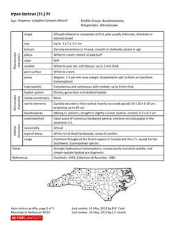 Irpex Lacteus (Fr.) Fr Syn: Polyporus Tulipifera (Schwein.)Murrill Profile Group: Basidiomycota, Polyporales, Meruliaceae