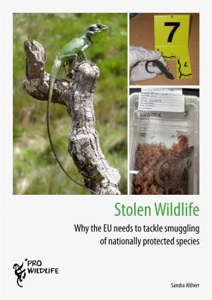 Stolen Wildlife. Why the EU Needs to Tackle Smuggling of Nationally Protected Species