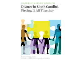Divorce in South Carolina Piecing It All Together