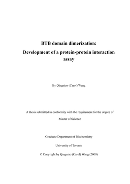 BTB Domain Dimerization: Development of a Protein-Protein Interaction Assay