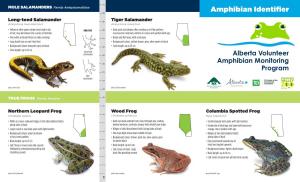 Amphibian Identifier 20