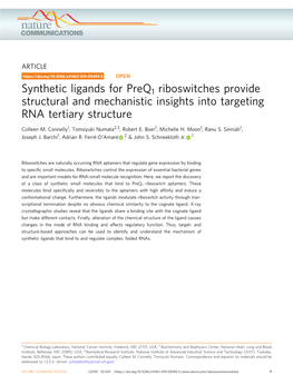Synthetic Ligands for Preq1 Riboswitches Provide Structural and Mechanistic Insights Into Targeting RNA Tertiary Structure