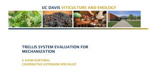 Uc Davis Viticulture and Enology Trellis System