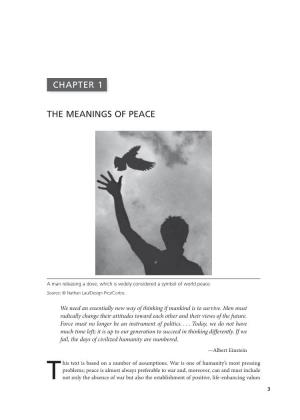 The Meanings of Peace Chapter 1