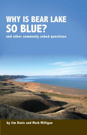 WHY IS BEAR LAKE SO BLUE? and Other Commonly Asked Questions