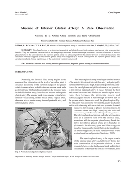Absence of Inferior Gluteal Artery: a Rare Observation