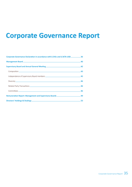 Corporate Governance Report 35