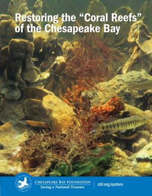 Restoring the “Coral Reefs” of the Chesapeake Bay