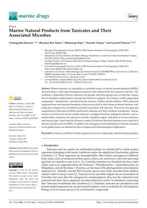 Marine Natural Products from Tunicates and Their Associated Microbes