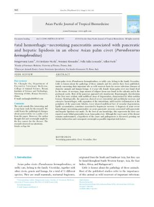 Fatal Hemorrhagic-Necrotizing Pancreatitis Associated with Pancreatic and Hepatic Lipidosis in an Obese Asian Palm Civet