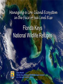 Florida Keys National Wildlife Refuges Complex U.S