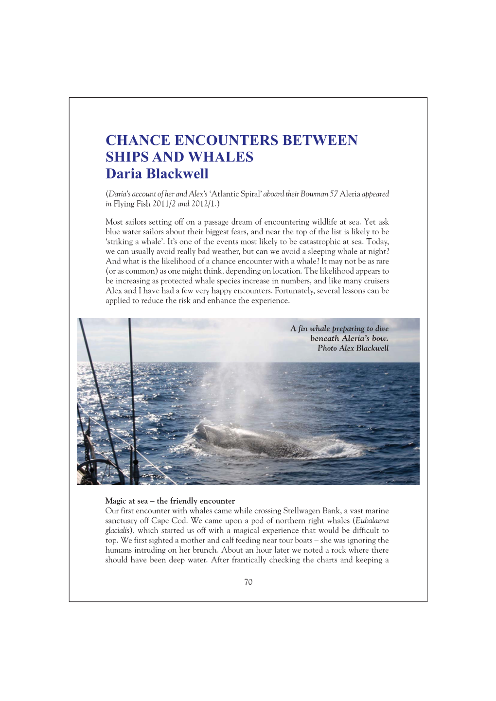 Chance Encounters Between Whales and Ships (Pdf)