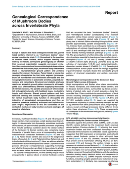 Genealogical Correspondence of Mushroom Bodies Across Invertebrate Phyla