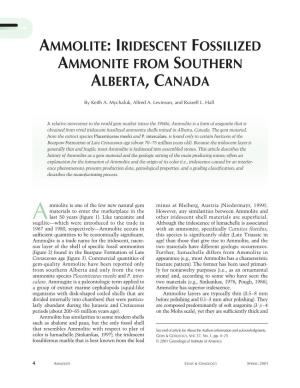 Ammolite: Iridescent Fossilized Ammonite from Southern Alberta