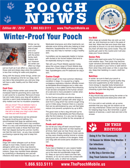 Winter-Proof Your Pooch