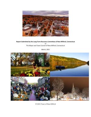 New Milford Long Term Recovery Committee Action Plan