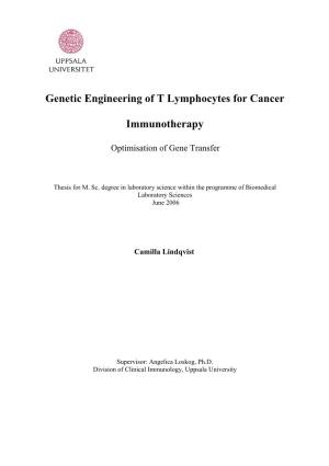 Optimization of the Genetic Engineering of T Cells for Cancer