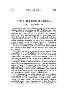 Notes on the Habits of Amphizoa by P. J. Darlington, Jr