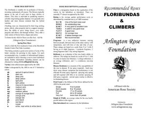 Floribundas & Climbers