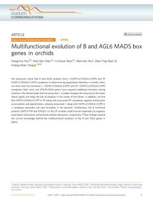 Multifunctional Evolution of B and AGL6 MADS Box Genes in Orchids