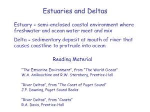 Estuaries and Deltas